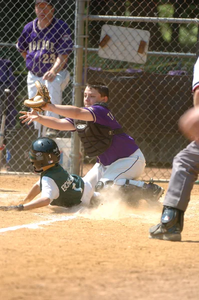 Little League Baseball Ação — Fotografia de Stock