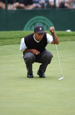 Tiger Woods bize açık 2002 yılında tüm zamanların en başarılı golfçüler arasında olan bir Amerikan profesyonel golfçü kazanıyor. O bir dünyanın en çok kazanan sporcular için birkaç yıl oldu.