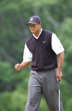 Tiger Woods bize açık 2002 yılında tüm zamanların en başarılı golfçüler arasında olan bir Amerikan profesyonel golfçü kazanıyor. O bir dünyanın en çok kazanan sporcular için birkaç yıl oldu.