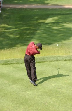 Tiger Woods bize açık 2002 yılında tüm zamanların en başarılı golfçüler arasında olan bir Amerikan profesyonel golfçü kazanıyor. O bir dünyanın en çok kazanan sporcular için birkaç yıl oldu.