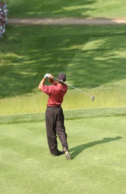 Tiger Woods bize açık 2002 yılında tüm zamanların en başarılı golfçüler arasında olan bir Amerikan profesyonel golfçü kazanıyor. O bir dünyanın en çok kazanan sporcular için birkaç yıl oldu.