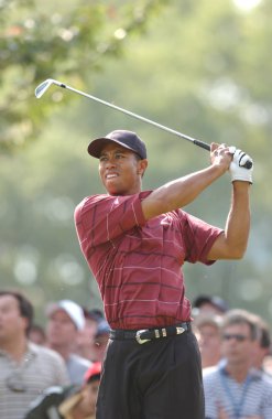 Tiger Woods bize açık 2002 yılında tüm zamanların en başarılı golfçüler arasında olan bir Amerikan profesyonel golfçü kazanıyor. O bir dünyanın en çok kazanan sporcular için birkaç yıl oldu.