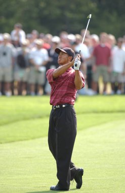 Tiger Woods bize açık 2002 yılında tüm zamanların en başarılı golfçüler arasında olan bir Amerikan profesyonel golfçü kazanıyor. O bir dünyanın en çok kazanan sporcular için birkaç yıl oldu.