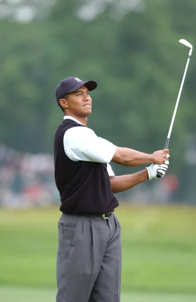 Tiger Woods Ganador Abierto 2002 Golfista Profesional Estadounidense Que Está —  Fotos de Stock