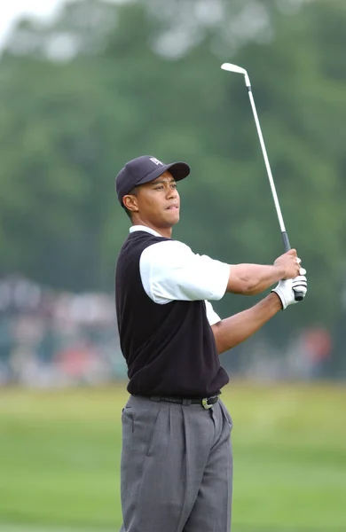 Tiger Woods Zwycięzca Open Roku 2002 Jest Amerykańska Zawodowa Golfistka — Zdjęcie stockowe