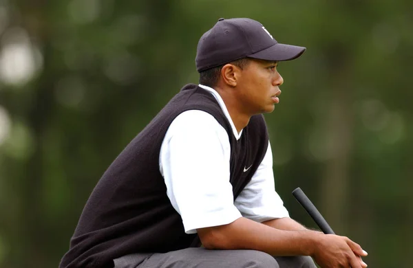 Tiger Woods Ganador Abierto 2002 Golfista Profesional Estadounidense Que Está —  Fotos de Stock