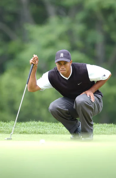 Tiger Woods Ganador Abierto 2002 Golfista Profesional Estadounidense Que Está —  Fotos de Stock