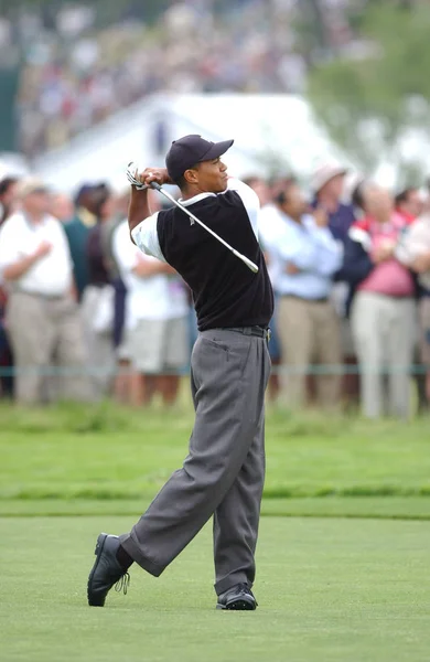 Tiger Woods Győztes Openen 2002 Ben Egy Amerikai Profi Golfjátékos — Stock Fotó