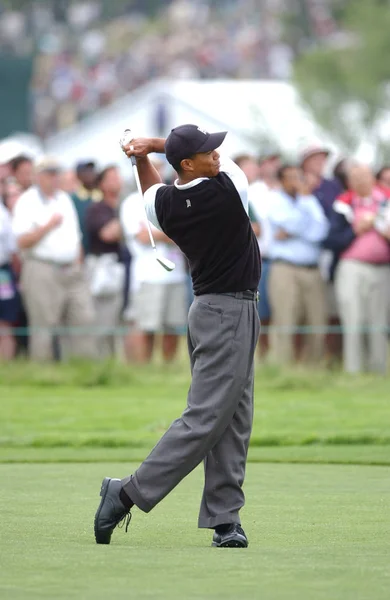 Tiger Woods Győztes Openen 2002 Ben Egy Amerikai Profi Golfjátékos — Stock Fotó