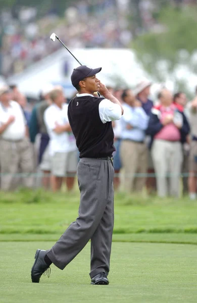 Tiger Woods Bize Açık 2002 Yılında Tüm Zamanların Başarılı Golfçüler — Stok fotoğraf