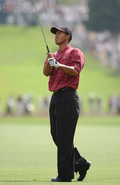 Tiger Woods Sieger Bei Den Open 2002 Ist Ein Amerikanischer — Stockfoto