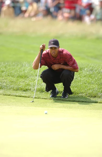 Tiger Woods Zwycięzca Open Roku 2002 Jest Amerykańska Zawodowa Golfistka — Zdjęcie stockowe