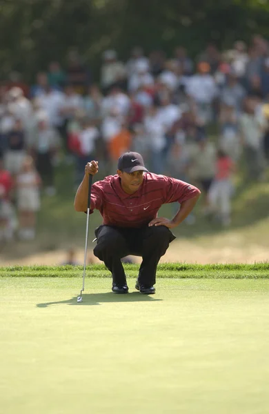 Tiger Woods Vinnare Vid Oss Open 2002 Amerikansk Professionell Golfspelare — Stockfoto