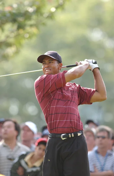 Tiger Woods Переможцем Відкритого 2002 Року Американський Професійний Гольфіст Хто — стокове фото
