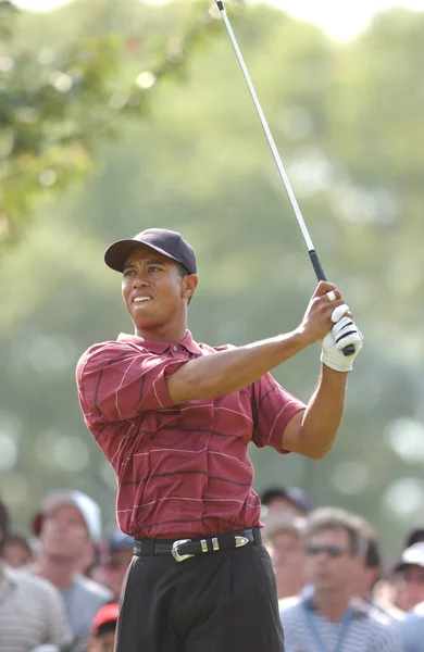 Tiger Woods Winnaar Bij Open 2002 Een Amerikaanse Golfprofessional Die — Stockfoto