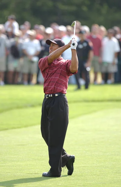 Tiger Woods Sieger Bei Den Open 2002 Ist Ein Amerikanischer — Stockfoto