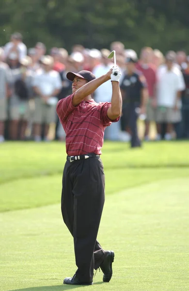 Tiger Woods Pemenang Terbuka Pada Tahun 2002 Adalah Pegolf Profesional — Stok Foto