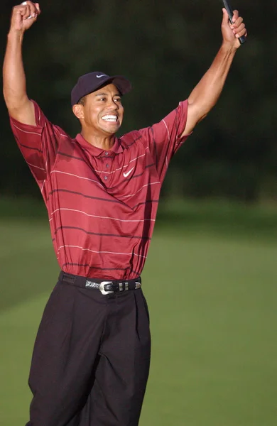 Tiger Woods Ganador Abierto 2002 Golfista Profesional Estadounidense Que Está —  Fotos de Stock