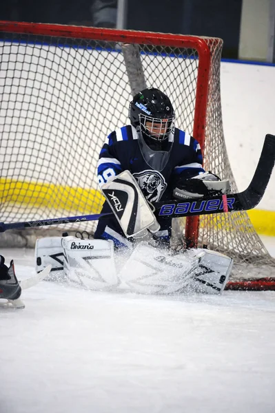 Juego Liga Juvenil Hockey Sobre Hielo Durante Torneo Que Juega —  Fotos de Stock