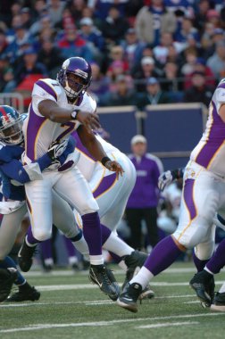 Tarvaris Jackson için normal sezon Nfl oyun sırasında oyun eylem Minnesota Vikings Quarterback. Vikingler Tarvaris Jackson 2006 Nfl taslak ikinci turda seçilebilir, ve Jackson 2006 Vikingler ile 2010 için.
