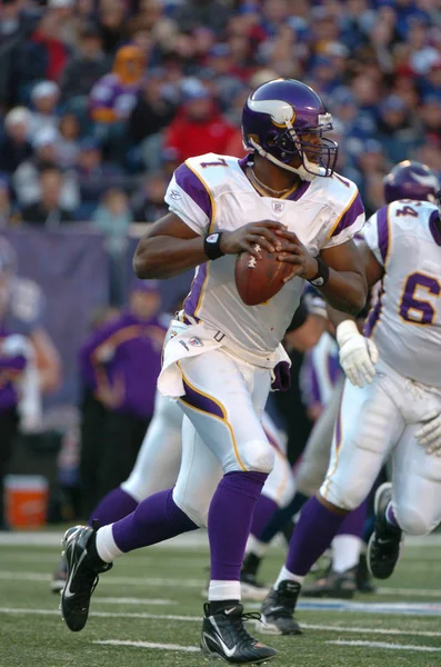 Tarvaris Jackson Quarterback Para Los Minnesota Vikings Acción Durante Partido — Foto de Stock