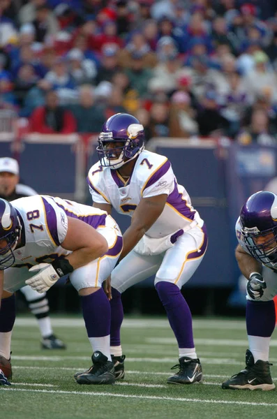 Tarvaris Jackson Quarterback Para Los Minnesota Vikings Acción Durante Partido —  Fotos de Stock