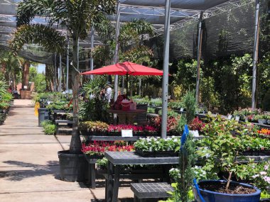 Doğu Vadisi, tüm tür ağaçlar, avuç içi ve çalılar, yenilebilir şeyler, çilek, küçük meyve, sebze ve otlar da dahil olmak üzere sağlayan Arizona bulunan Arizona peyzaj çocuk odası. Bu kreş evler için bu ürünleri satın almak için müşteriler sağlar.