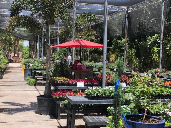 Doğu Vadisi, tüm tür ağaçlar, avuç içi ve çalılar, yenilebilir şeyler, çilek, küçük meyve, sebze ve otlar da dahil olmak üzere sağlayan Arizona bulunan Arizona peyzaj çocuk odası. Bu kreş evler için bu ürünleri satın almak için müşteriler sağlar.