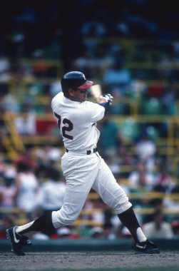 Carlton Fisk, 