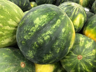 Costco Toptan Costco ticaret, sadece üyelik ambar kulüpleri zincirinin çalışır bir Amerikan çok uluslu şirket kuruluştur.