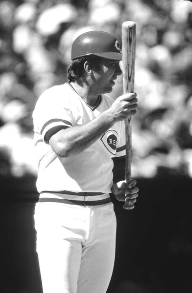 约翰尼板凳名人堂捕手为辛辛那提红军在蝙蝠在一个常规的赛季比赛 约翰尼板凳前棒球捕手谁打在主要联赛为辛辛那提红军从1967年到1983 — 图库照片