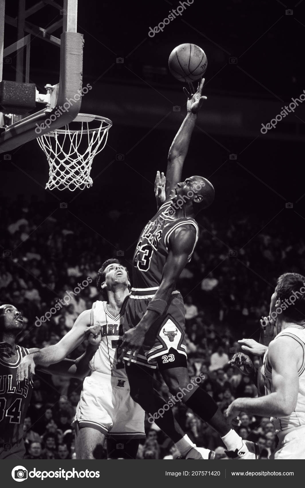 michael jordan chicago bulls hall of famers