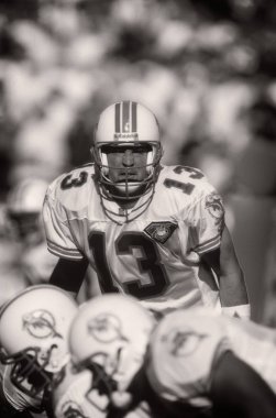 Dan Marino Hall of Fame oyun kurucu, Miami Dolphins normal bir Nfl sezon oyun sırasında oyun eylem. Dan Marino Jr. Ulusal Futbol Ligi için Miami Dolphins on yedi mevsim oynayan emekli bir Nfl oyun kurucu olduğunu.