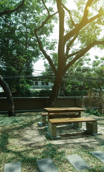 Bench Chair Shade Tree — Stock Photo, Image