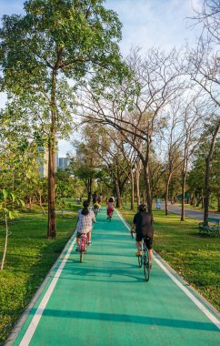 Parkta yeşil yol bisiklet sürme