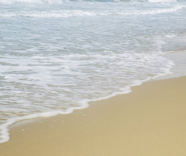 Ocean wave and tropical beach