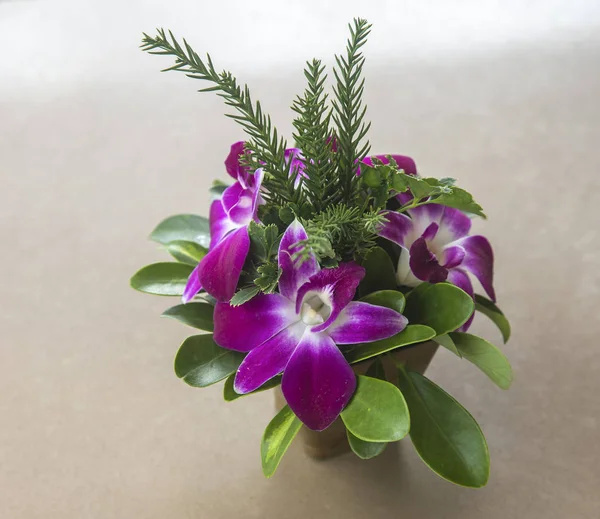 Flor Orquídea Frasco Sobre Mesa — Foto de Stock