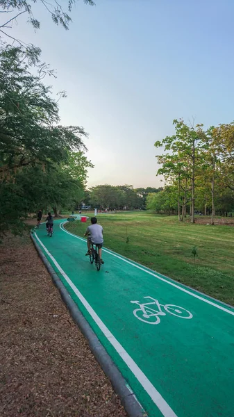 Andare Bicicletta Sul Sentiero Verde Nel Parco — Foto Stock