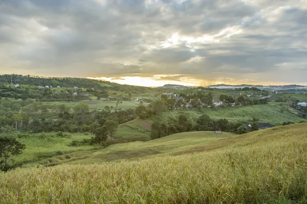 Rijst Veld Heuvel Met Zonsondergang Landschap — Stockfoto