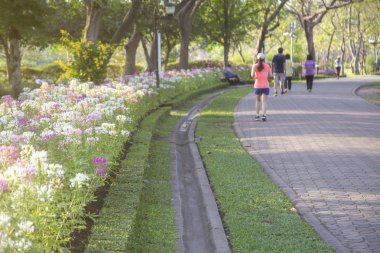 Kişi parkta çalışmıyor bulanık ile çiçek 