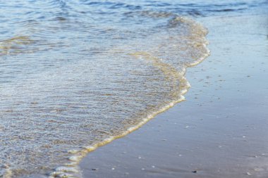 Okyanus dalgası ve tropik plaj