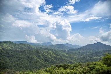 Ağaç ve bulut dağ manzara