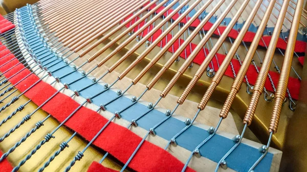 Cuerdas Dentro Del Piano Cola —  Fotos de Stock