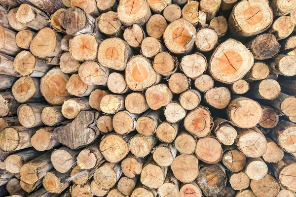 Dry Firewood Pile Furnace Kindling — Stock Photo, Image