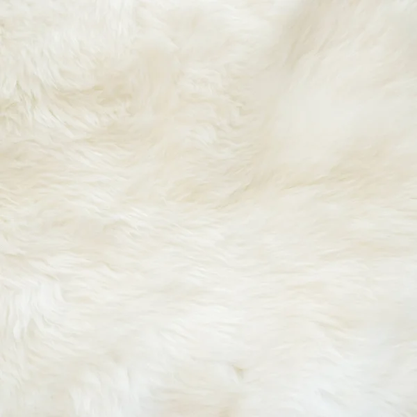 White fur  White aesthetic, White texture, Shades of white