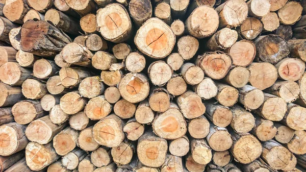 Dry Firewood Pile Furnace Kindling — Stock Photo, Image