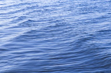 Arka planda tropikal denizde su dalgası