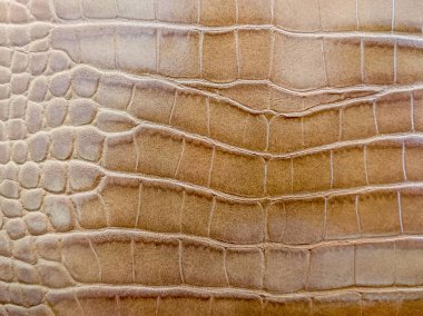 Kahverengi timsah deri dokulu ve arka planı için