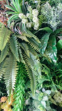 Yeşil yapay bahçe duvar arka plan