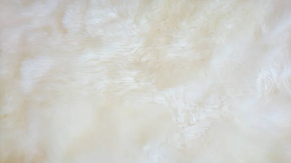 Texture White Sheep Wool Carpet Background — Stock Photo, Image